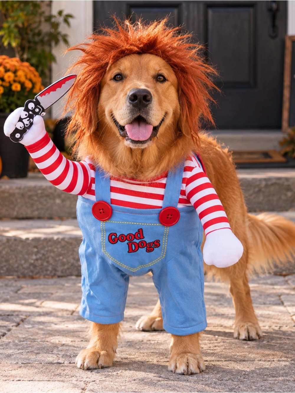 Chucky Style Killer Dog Halloween Costume with Wig & Plush Knife |25-30lbs dogs